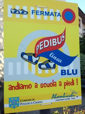 pedibus