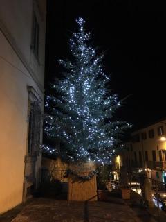 Acceso Il Grande Albero Di Natale Di Poggio A Caiano Comune Di Poggio A Caiano