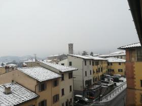neve 31 gennaio 2019