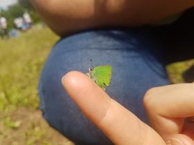 Naturalisti in azione