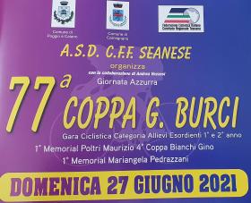 Burci 2921