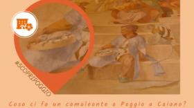 Pillole culturali