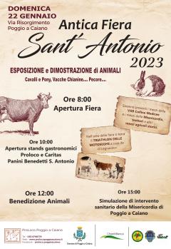 Fiera Sant\'Antonio