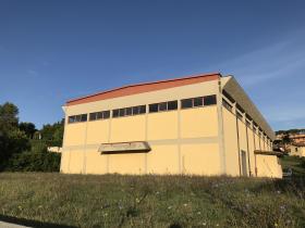 Palasport