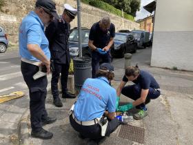 controlli rifiuti