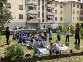 orto 
