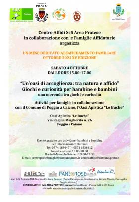 locandina affido
