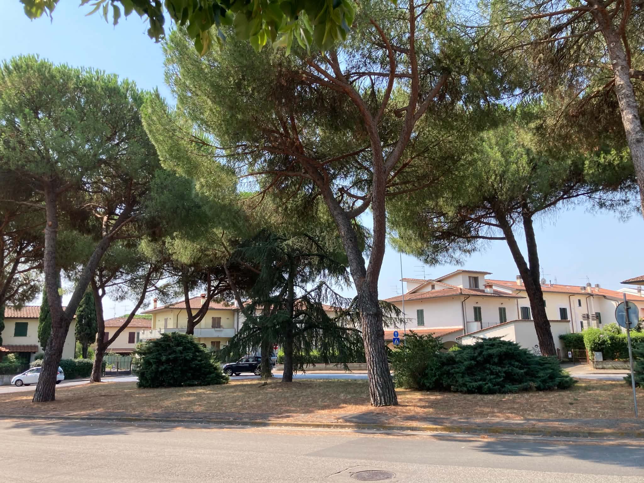 rotonda via Moro