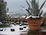 Il parco